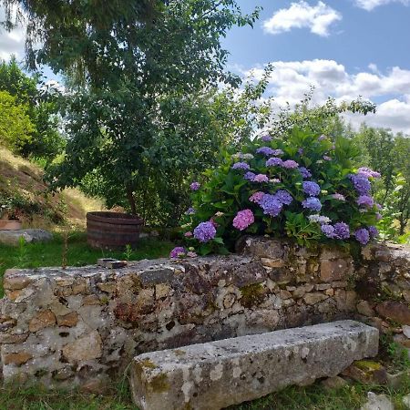 Gite Moulin De Ludieras Busserolles Buitenkant foto