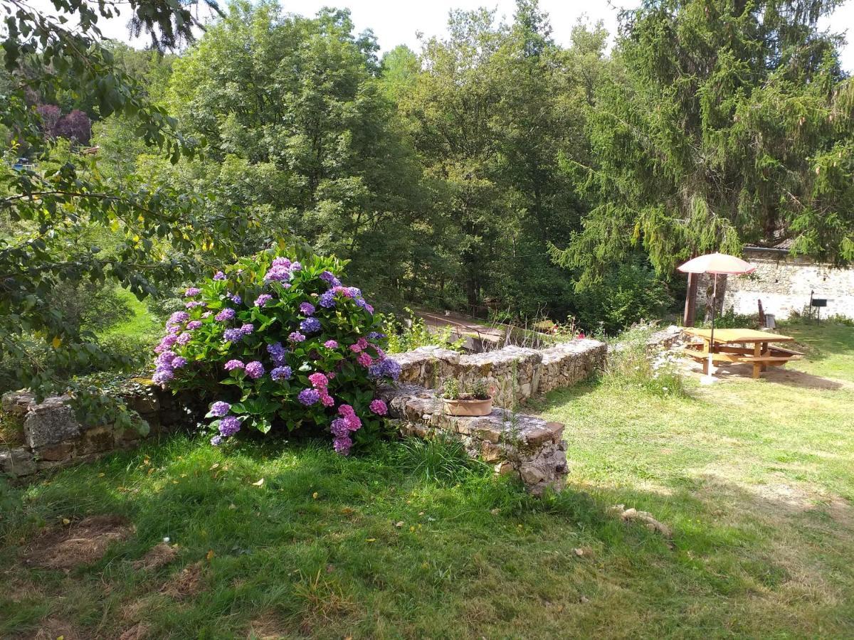 Gite Moulin De Ludieras Busserolles Buitenkant foto